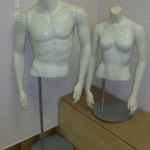 M & F torsos