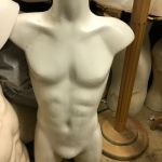 Male torso - front half