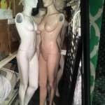 Mannequins - wht. and skin. with heads no arms