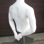 Male torso with arms